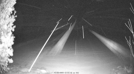 Image from 2025-01-25