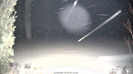 Image from 2025-01-25