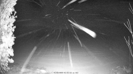Image from 2025-01-25