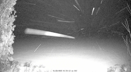 Image from 2025-01-25