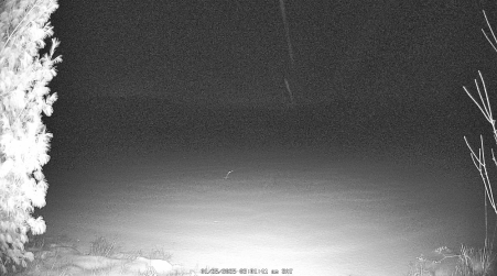 Image from 2025-01-25