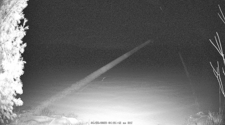Image from 2025-01-25