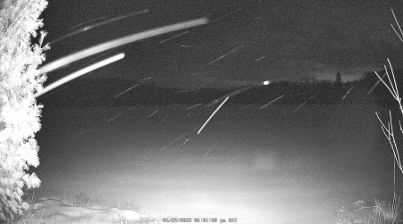 Image from 2025-01-25