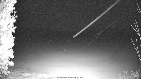 Image from 2025-01-25