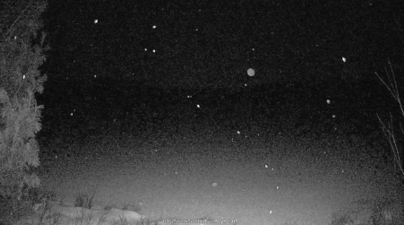 Image from 2025-01-25