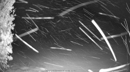 Image from 2025-01-25