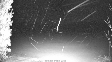 Image from 2025-01-25