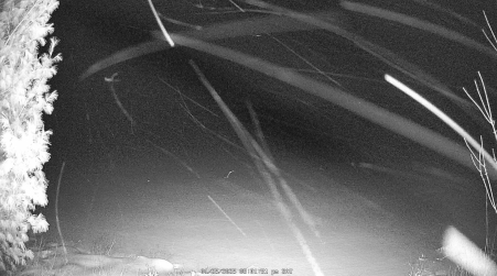 Image from 2025-01-25