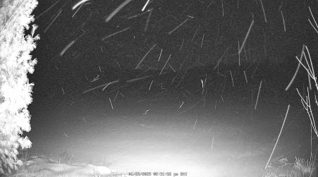 Image from 2025-01-25