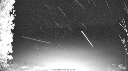 Image from 2025-01-25