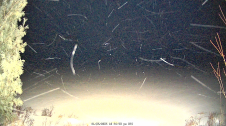 Image from 2025-01-25
