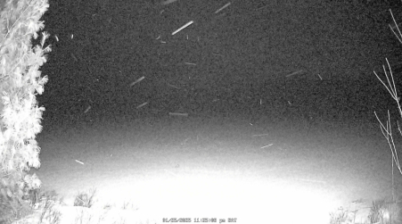 Image from 2025-01-25