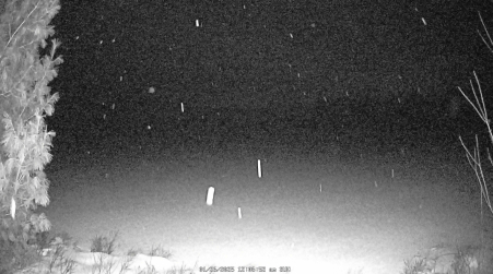 Image from 2025-01-26