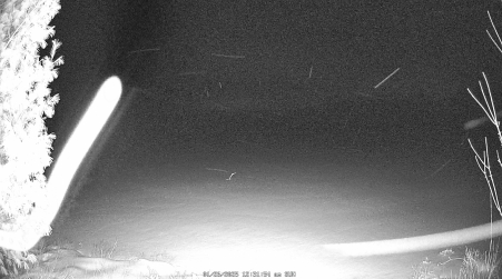 Image from 2025-01-26