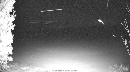 Image from 2025-01-26