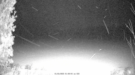 Image from 2025-01-26