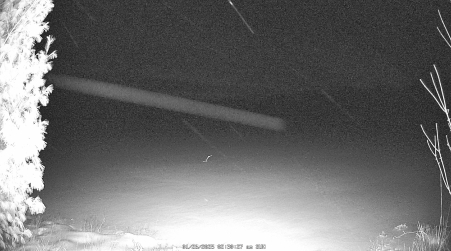 Image from 2025-01-26