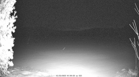 Image from 2025-01-26