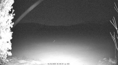 Image from 2025-01-26