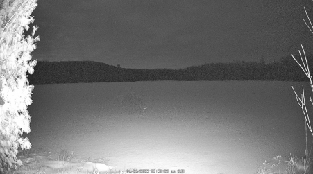 Image from 2025-01-26