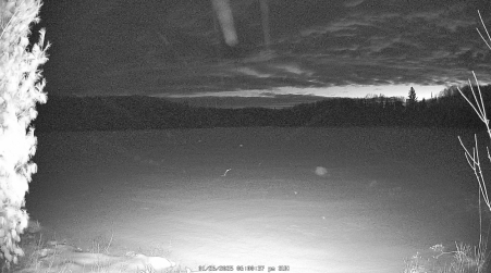 Image from 2025-01-26