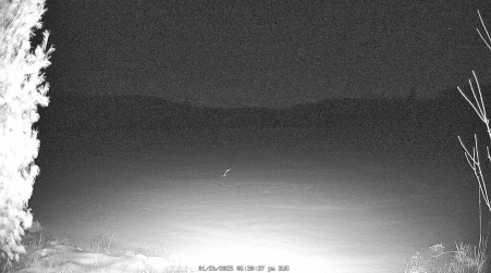 Image from 2025-01-26