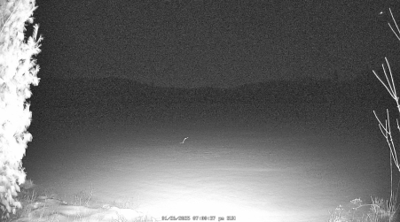 Image from 2025-01-26