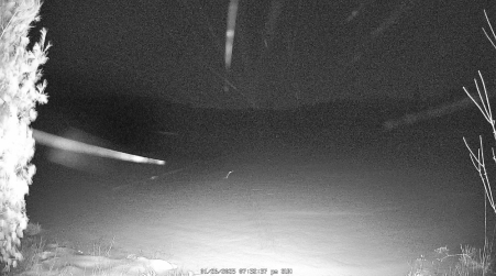 Image from 2025-01-26