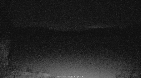 Image from 2025-01-26