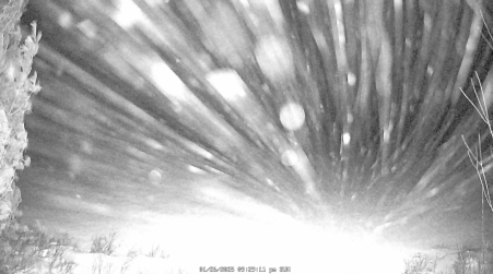 Image from 2025-01-26