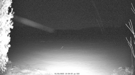 Image from 2025-01-26