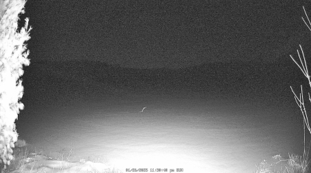 Image from 2025-01-26