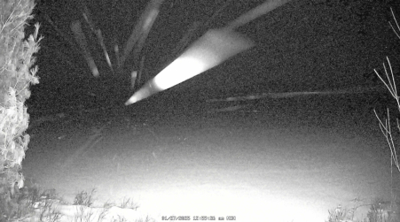 Image from 2025-01-27