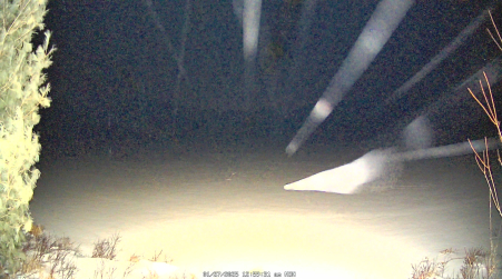 Image from 2025-01-27