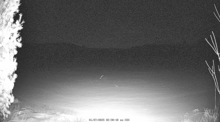 Image from 2025-01-27