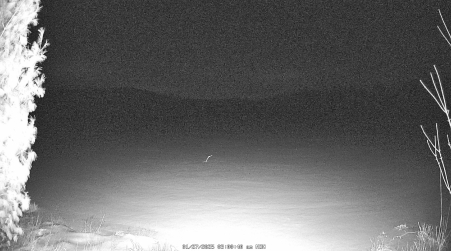 Image from 2025-01-27