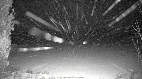 Image from 2025-01-27