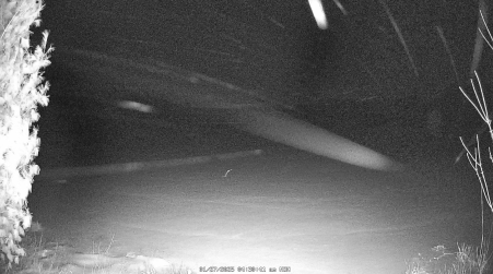 Image from 2025-01-27