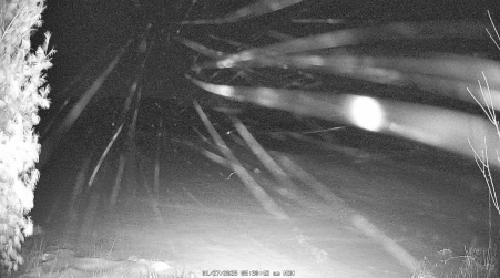 Image from 2025-01-27