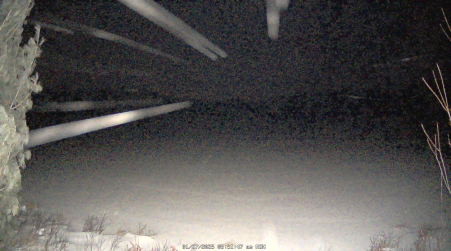 Image from 2025-01-27