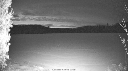 Image from 2025-01-27