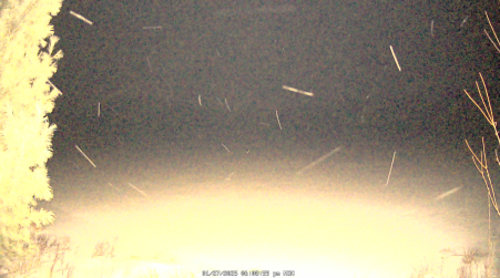 Image from 2025-01-27