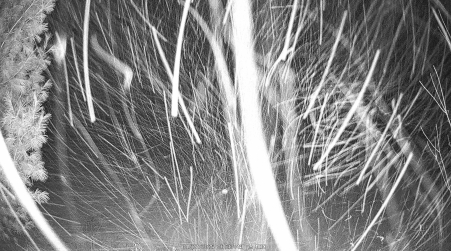 Image from 2025-01-27