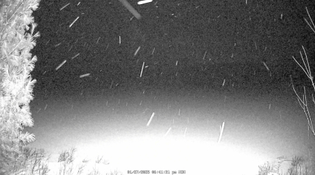 Image from 2025-01-27