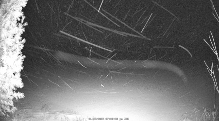 Image from 2025-01-27