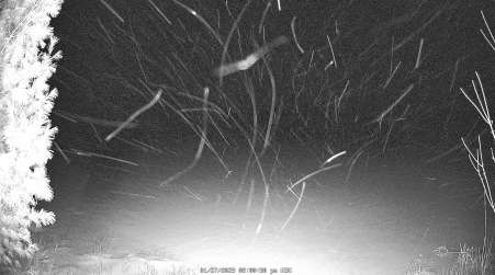Image from 2025-01-27