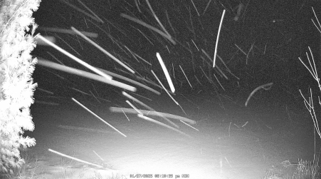 Image from 2025-01-27
