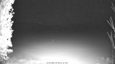 Image from 2025-01-27