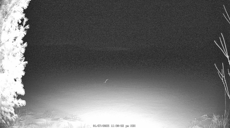 Image from 2025-01-27