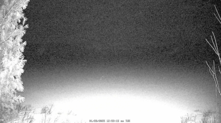 Image from 2025-01-28